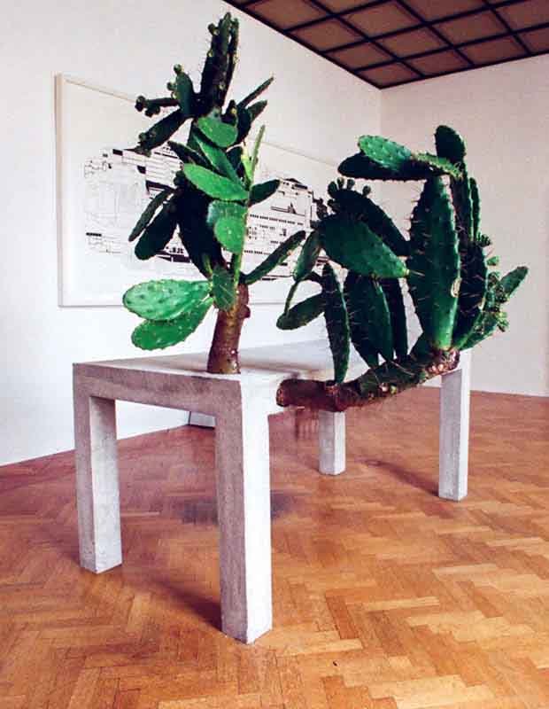 tavolo di cemento con pianta